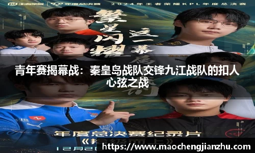DG视讯