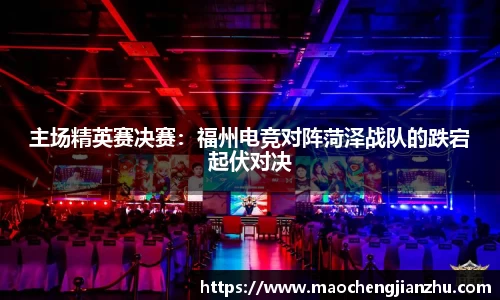 主场精英赛决赛：福州电竞对阵菏泽战队的跌宕起伏对决