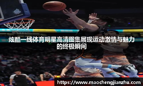 DG视讯官方网站