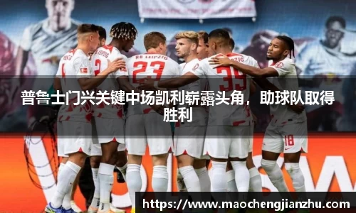 DG视讯官方网站