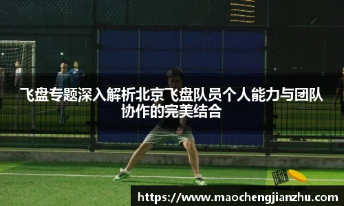 DG视讯