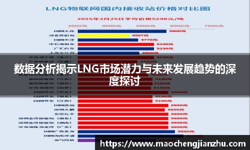 数据分析揭示LNG市场潜力与未来发展趋势的深度探讨